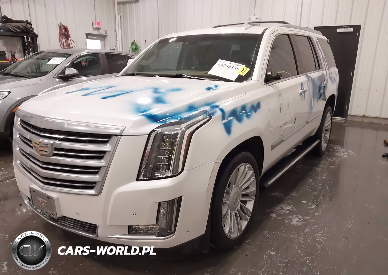 2016 Cadillac Escalade Platinum VIN:1GYS4DKJ3GR271886 - 6