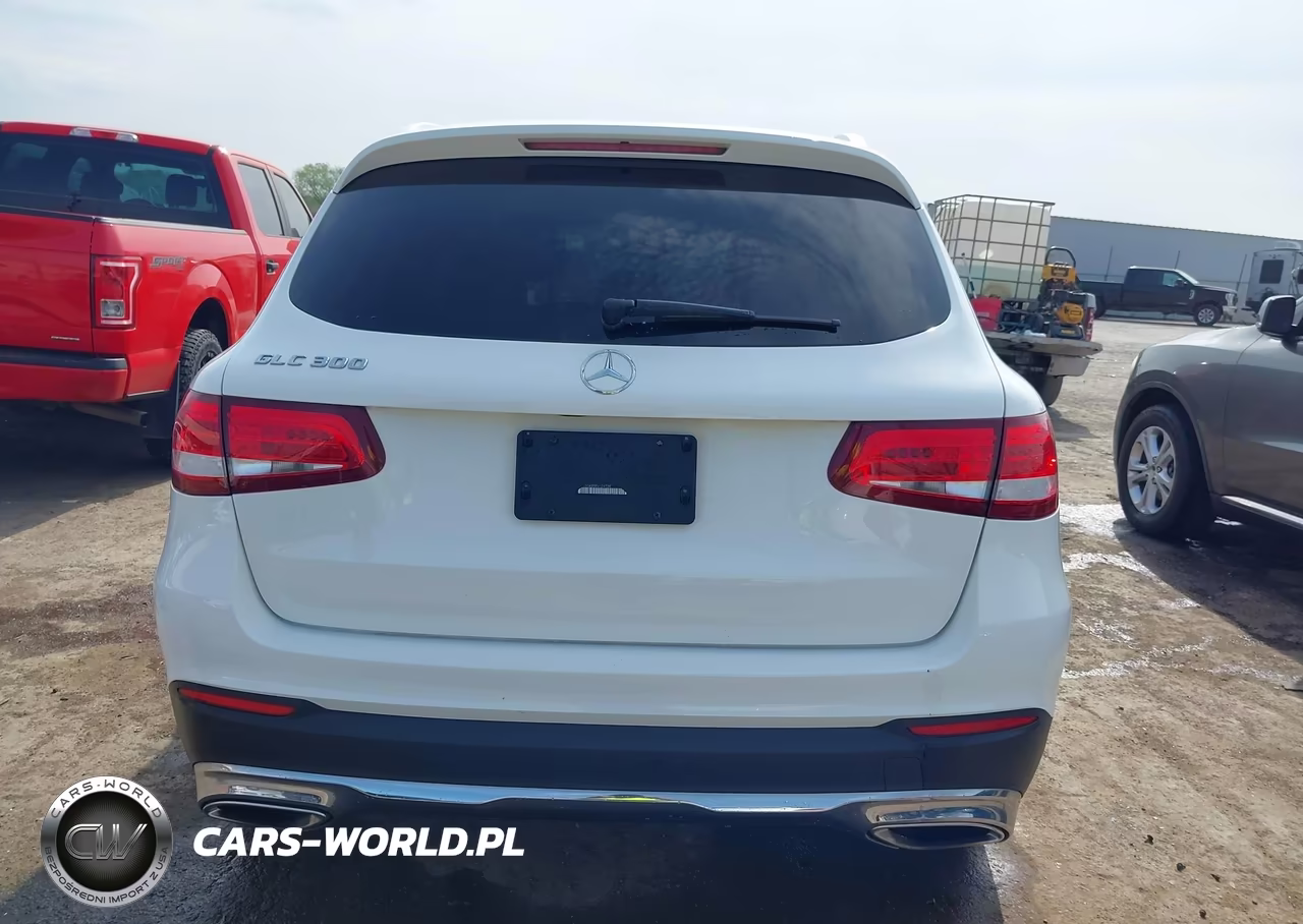 2019 Mercedes-Benz Glc 300 VIN:WDC0G4JB9KV124738 - 16