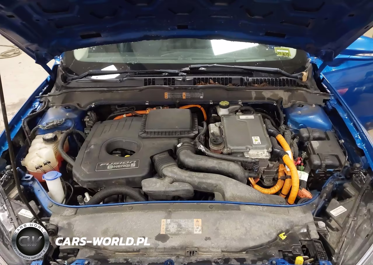 2019 Ford Fusion Energi Titanium VIN:3FA6P0SU3KR258351 - 10