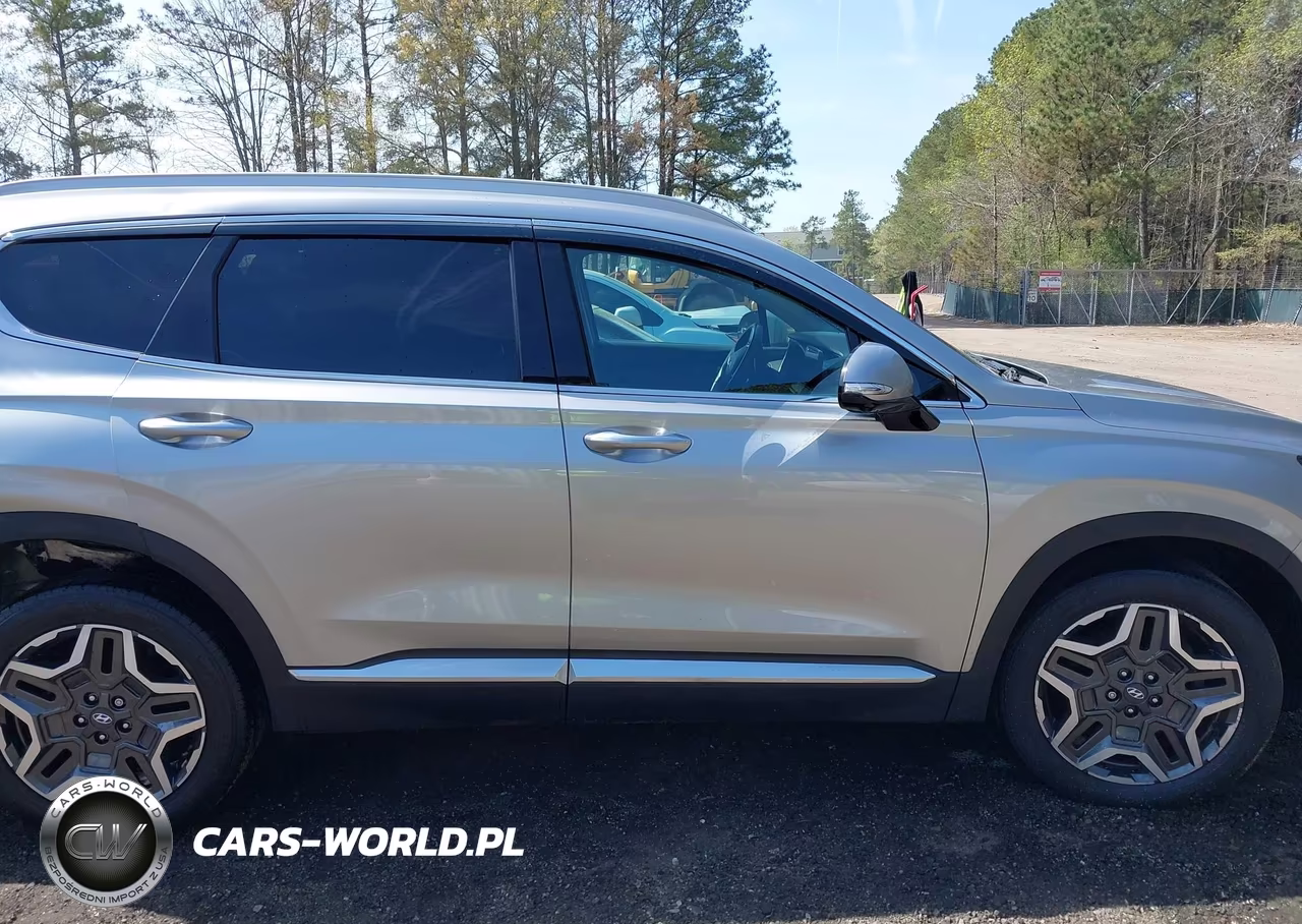 2021 Hyundai Santa Fe Limited VIN:5NMS44AL3MH371768 - 13