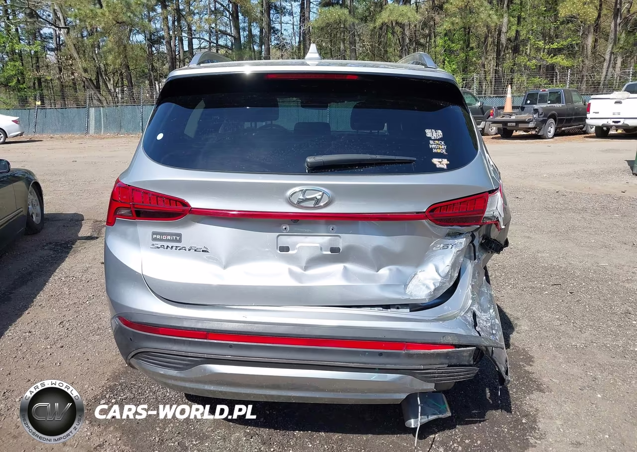 2021 Hyundai Santa Fe Limited VIN:5NMS44AL3MH371768 - 16