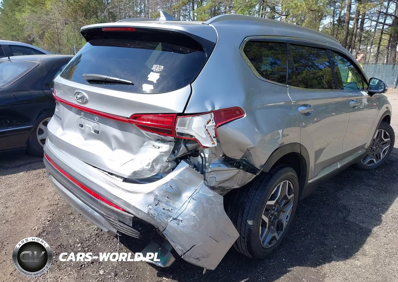 2021 Hyundai Santa Fe Limited VIN:5NMS44AL3MH371768 - 6