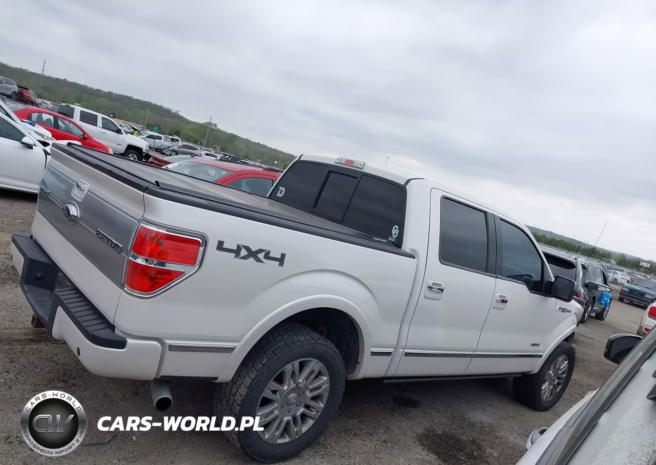 2013 Ford F-150 Platinum VIN:1FTFW1ET9DFD22124 - 13