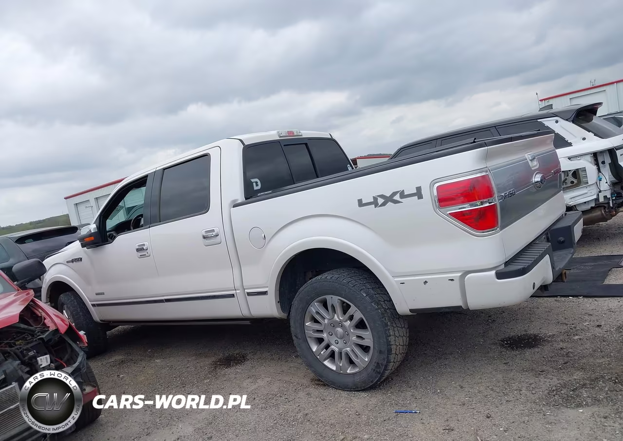 2013 Ford F-150 Platinum VIN:1FTFW1ET9DFD22124 - 14