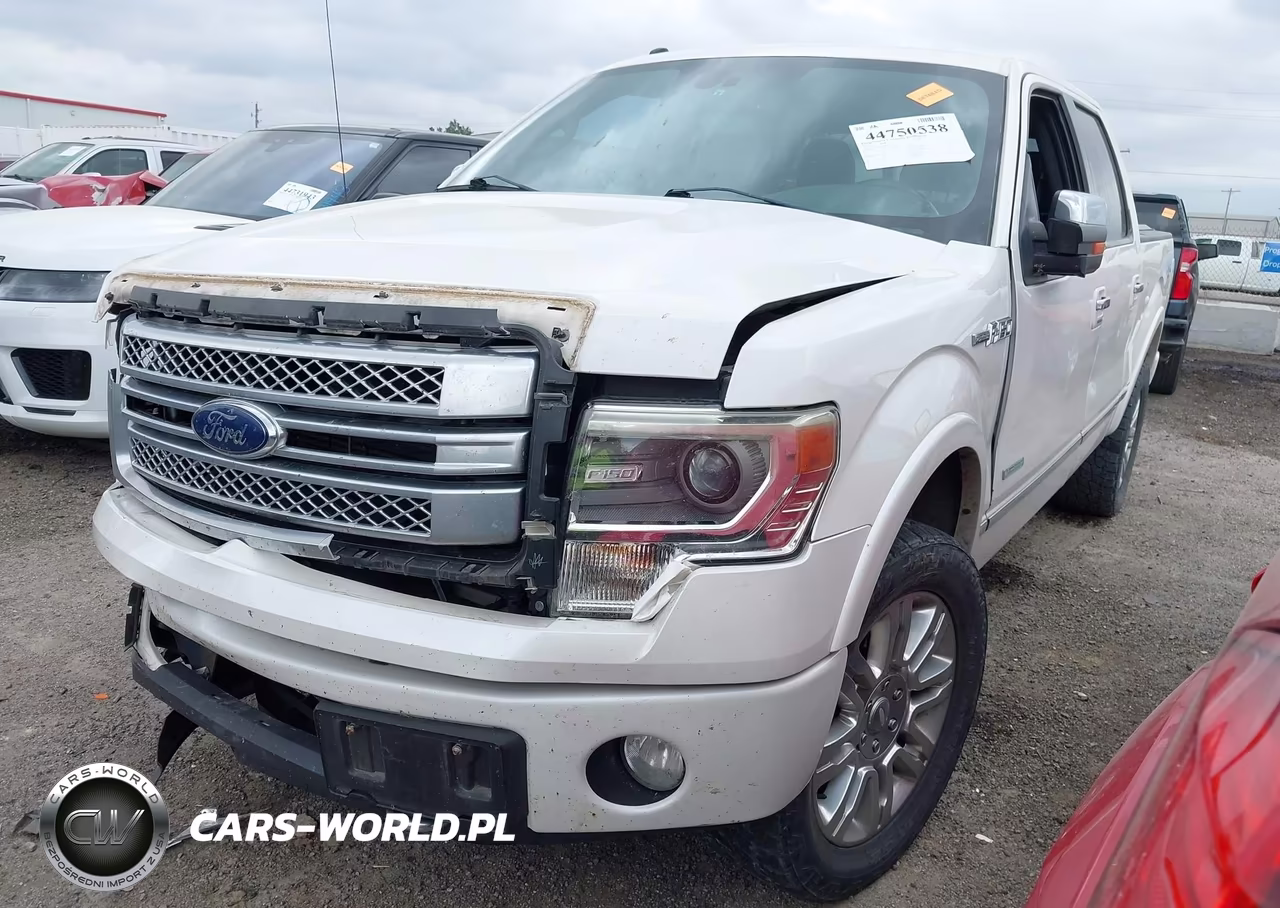 2013 Ford F-150 Platinum VIN:1FTFW1ET9DFD22124 - 2