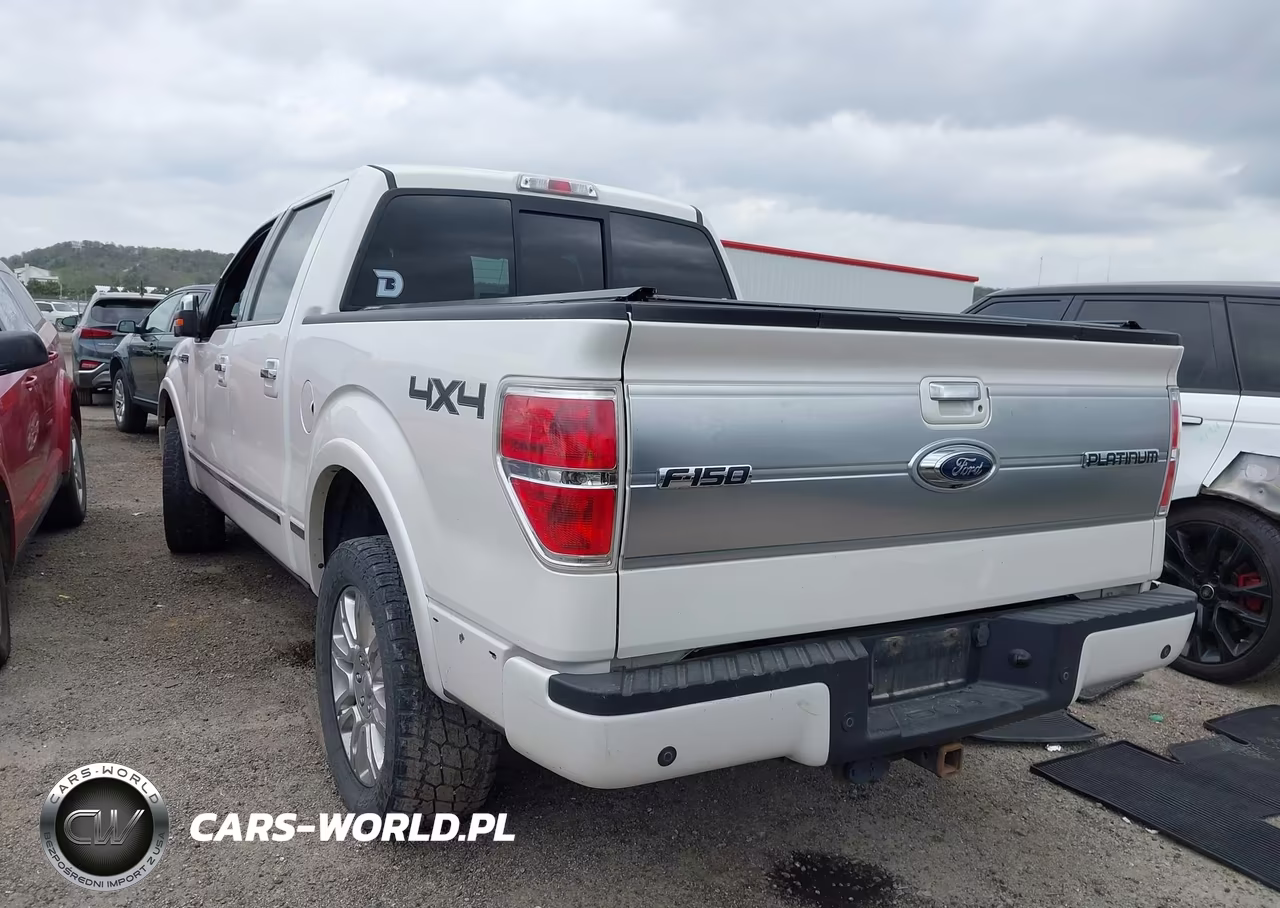 2013 Ford F-150 Platinum VIN:1FTFW1ET9DFD22124 - 3