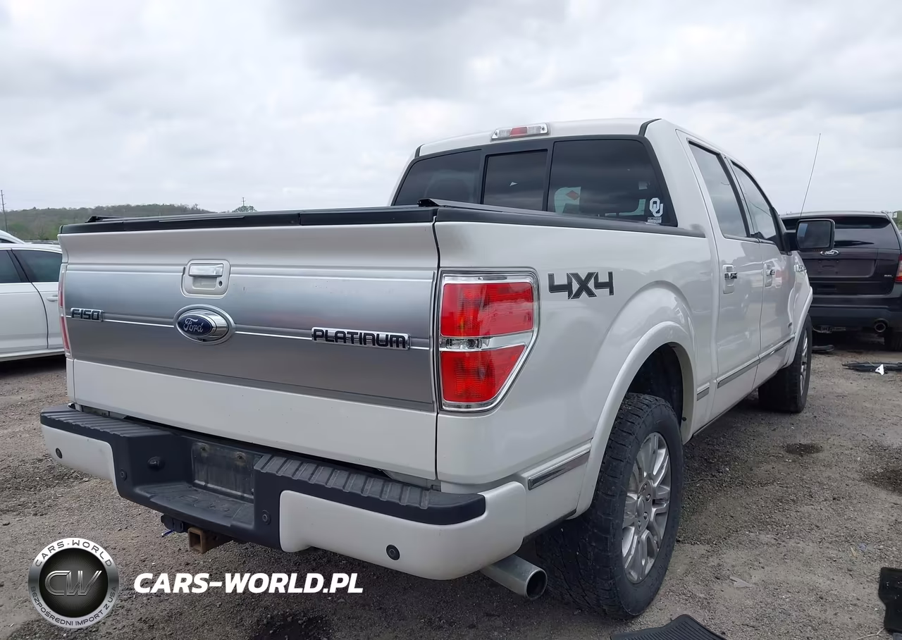 2013 Ford F-150 Platinum VIN:1FTFW1ET9DFD22124 - 4