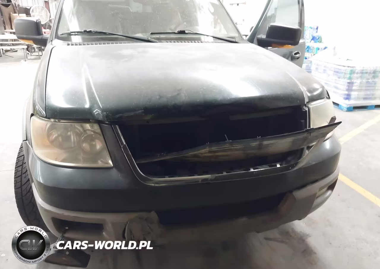 2003 Ford Expedition Eddie Bauer VIN:1FMPU17L13LA73191 - 12