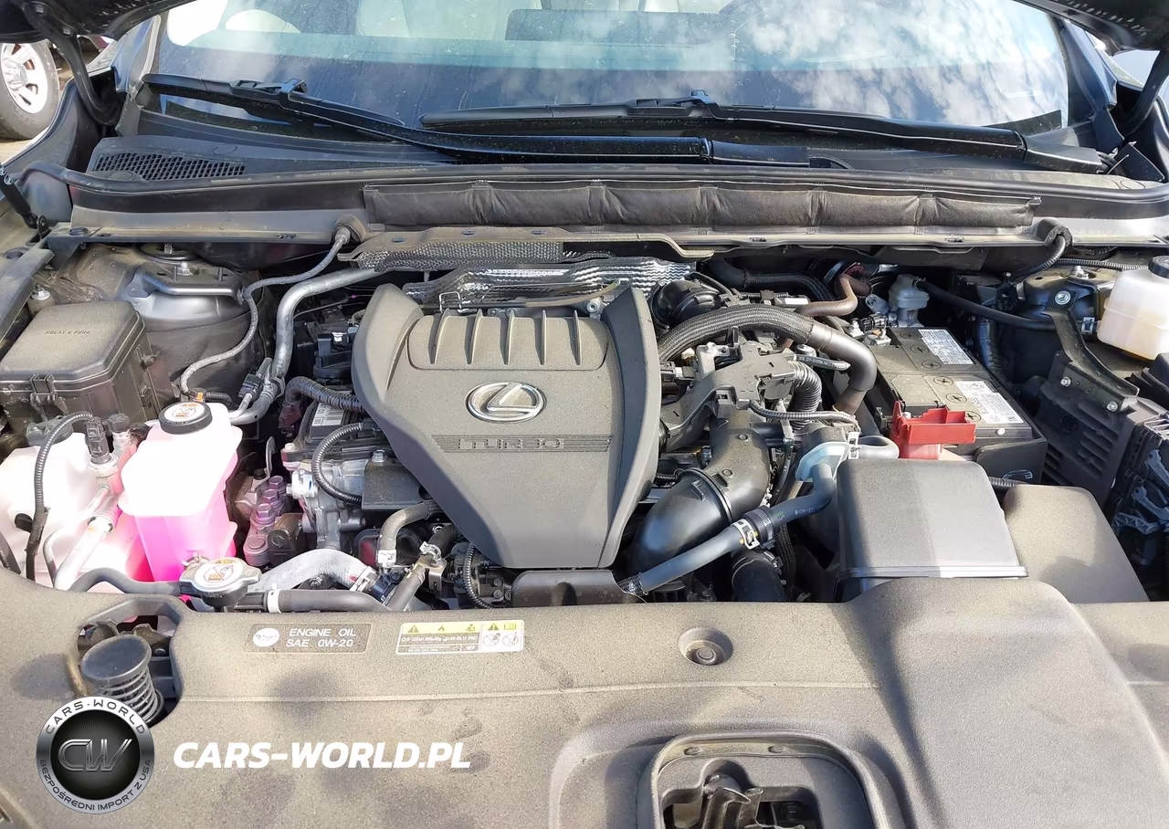 2024 Lexus Rx 350 Premium Plus VIN:2T2BAMCA9RC059371 - 10