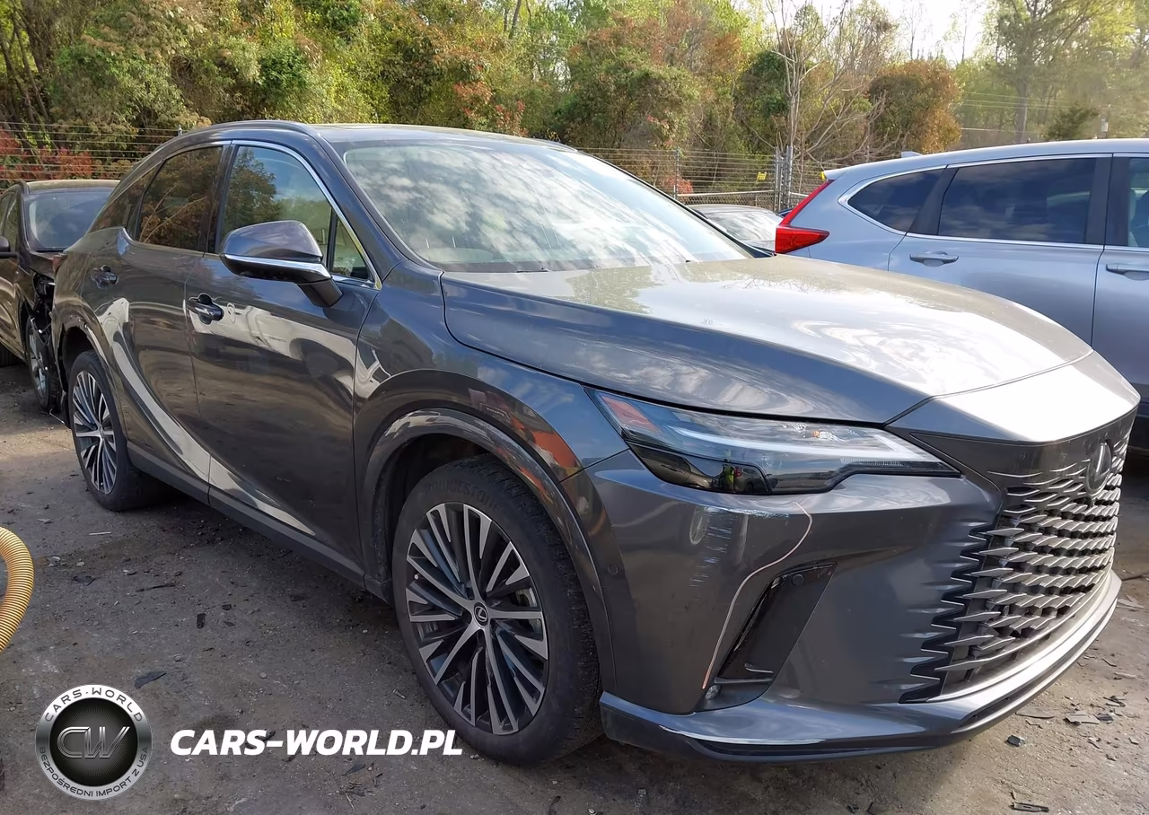 2024 Lexus Rx 350 Premium Plus VIN:2T2BAMCA9RC059371 - 13