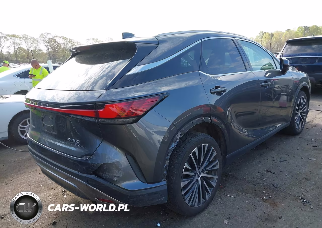 2024 Lexus Rx 350 Premium Plus VIN:2T2BAMCA9RC059371 - 4
