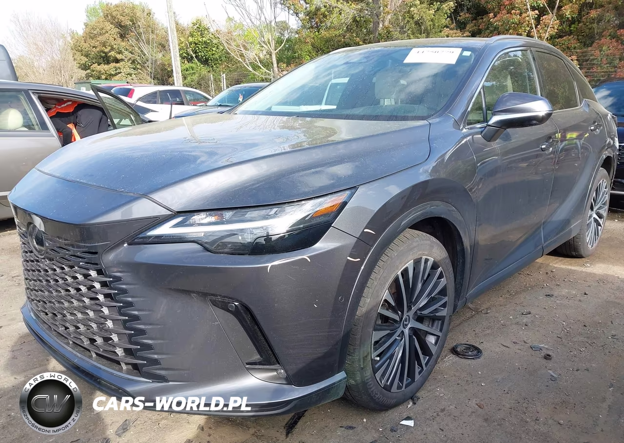 2024 Lexus Rx 350 Premium Plus VIN:2T2BAMCA9RC059371 - 6