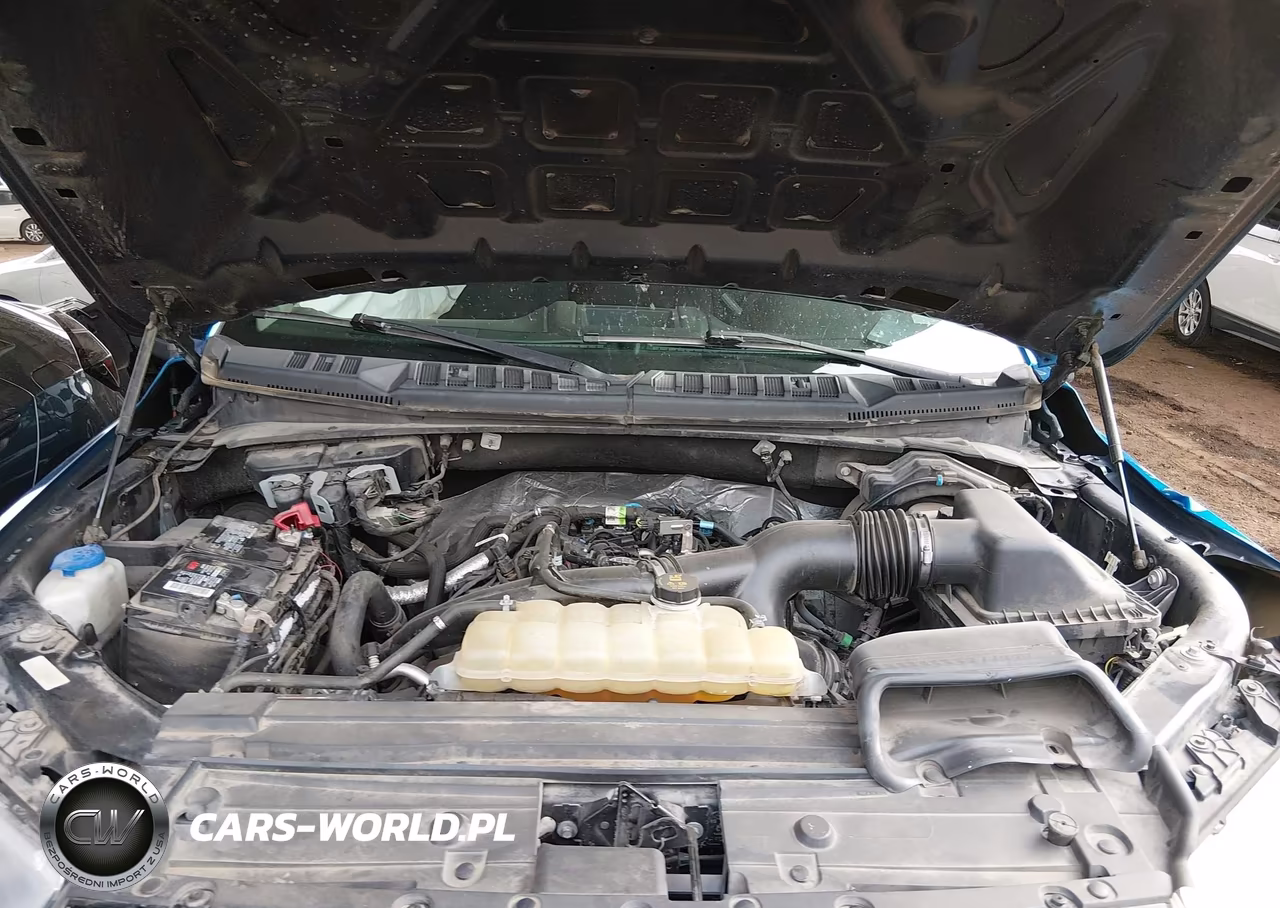 2019 Ford F-150 Xl VIN:1FTEW1EP6KFB56544 - 10