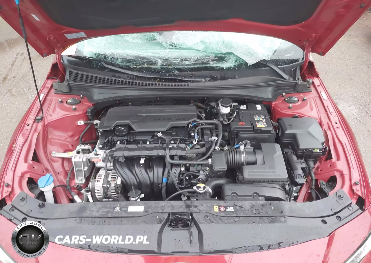 2024 Hyundai Elantra Sel VIN:KMHLM4DG8RU681638 - 10