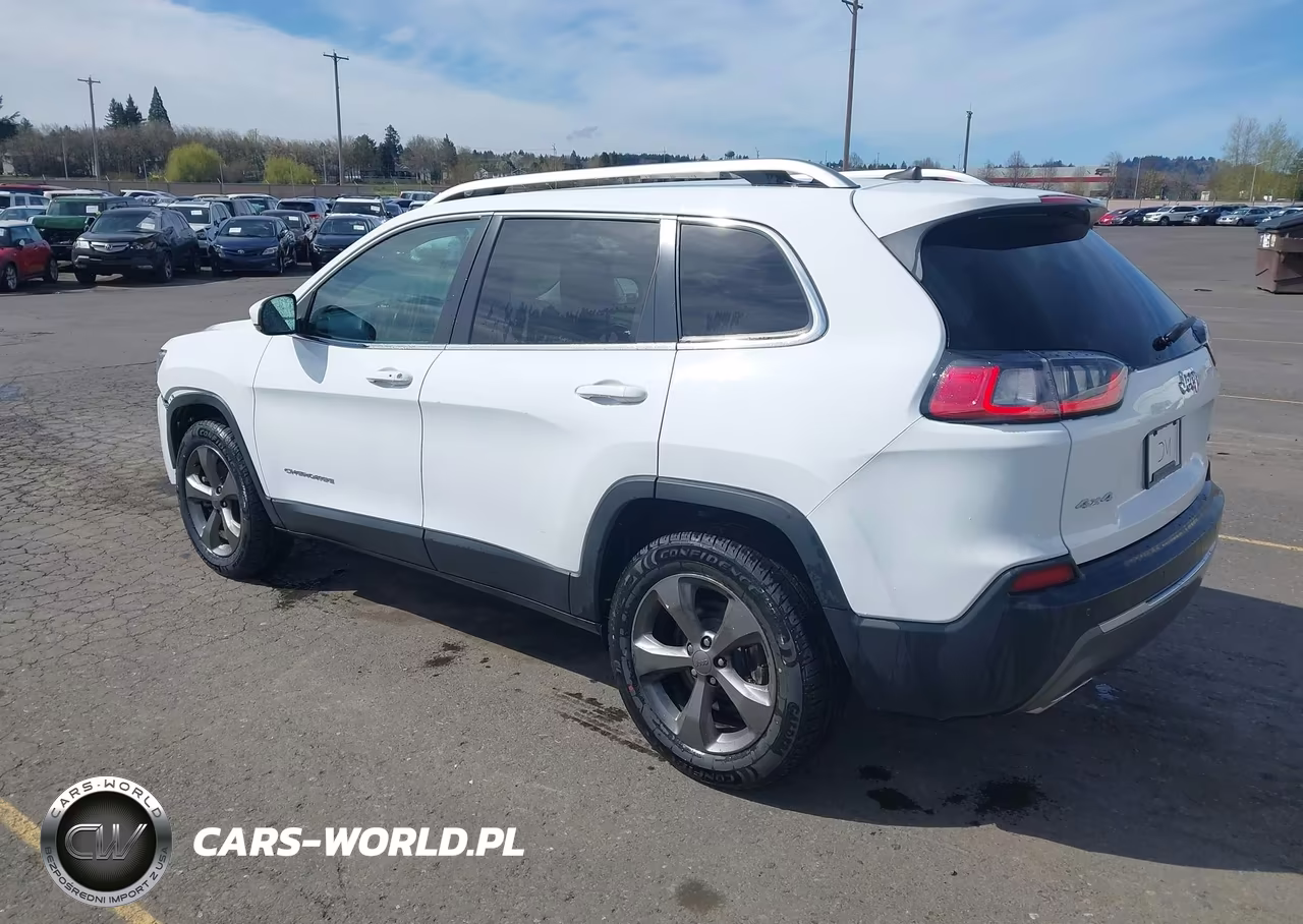 2019 Jeep Cherokee Limited 4X4 VIN:1C4PJMDX9KD303946 - 3