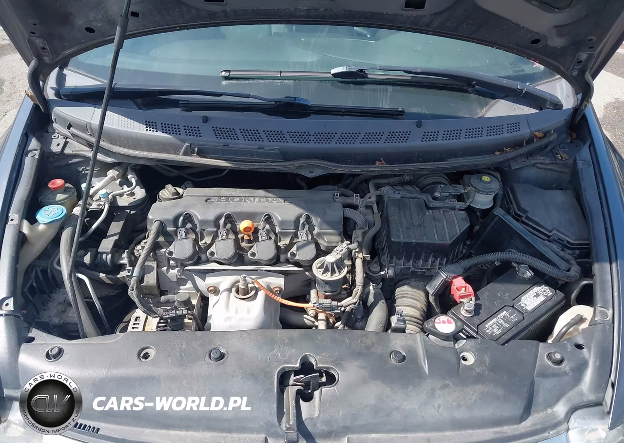 2009 Honda Civic Lx VIN:2HGFA165X9H369829 - 10