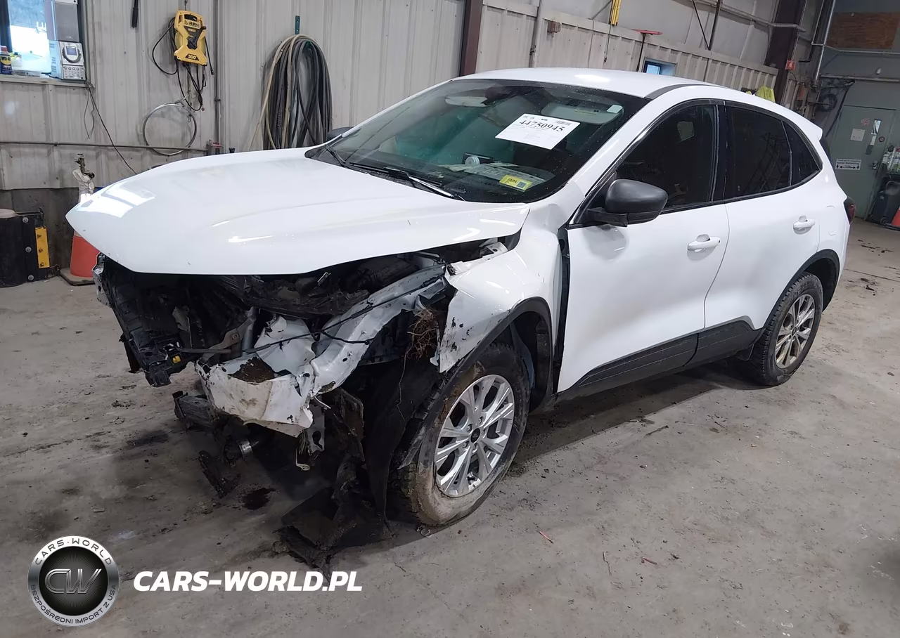 2023 Ford Escape Active VIN:1FMCU9GN3PUA87091 - 2