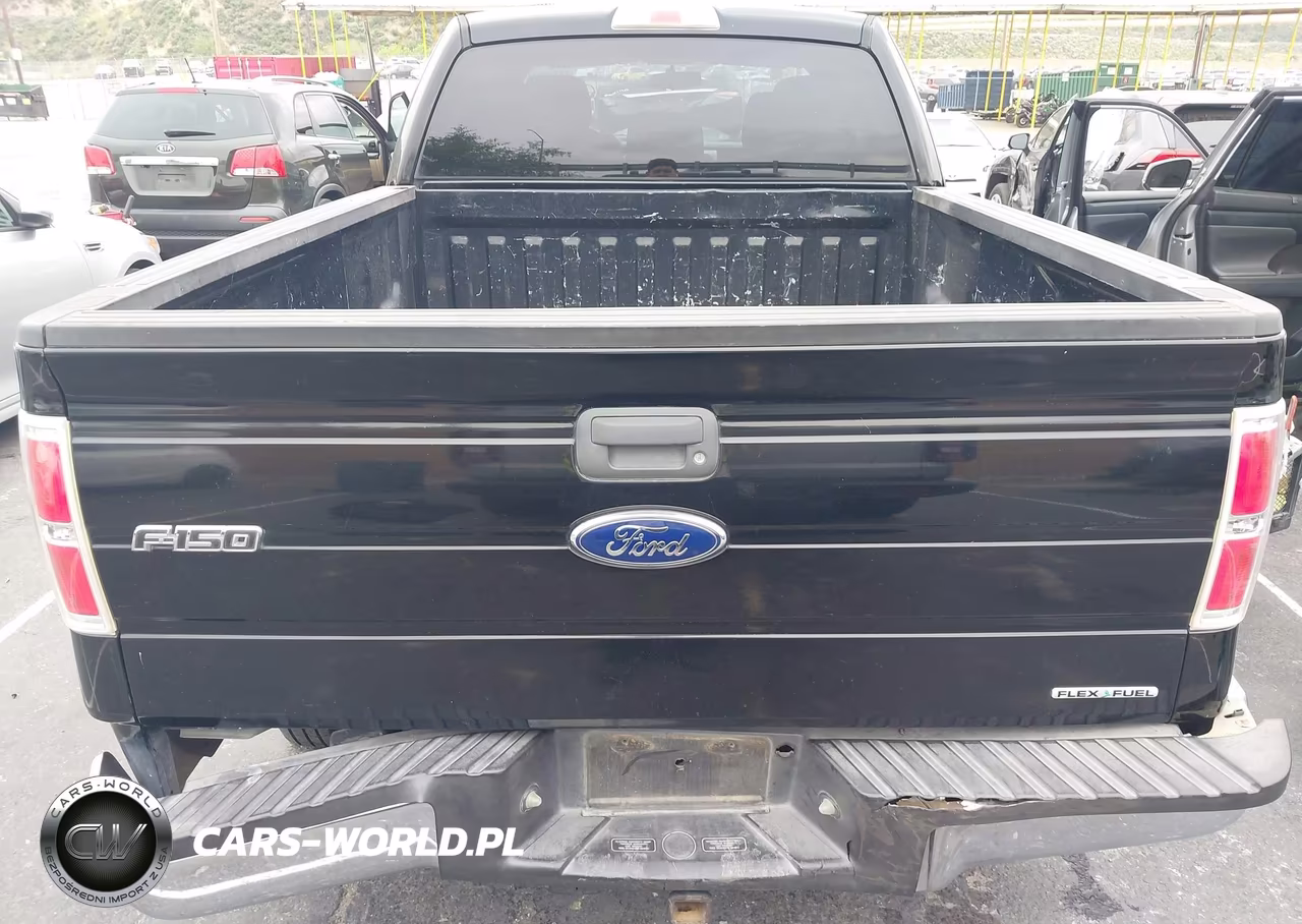 2011 Ford F-150 Xlt VIN:1FTEX1CMXBFB99256 - 6