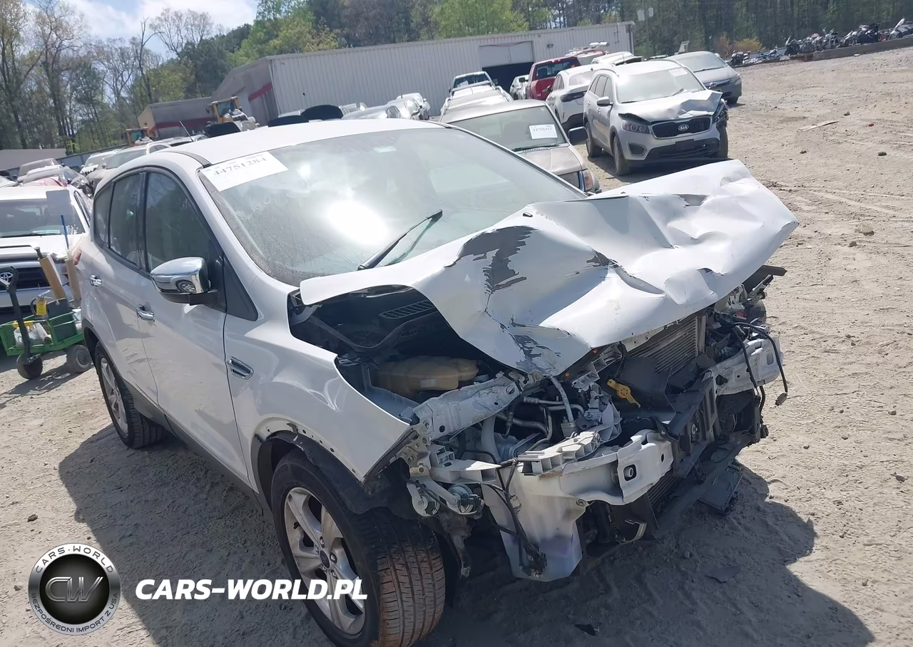 2014 Ford Escape S
