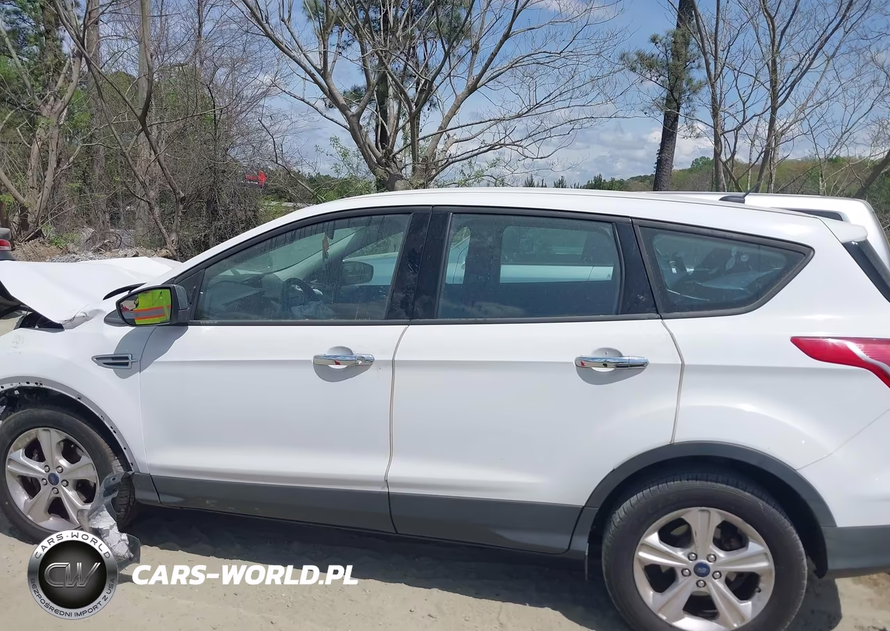 2014 Ford Escape S VIN:1FMCU0F76EUE06589 - 14