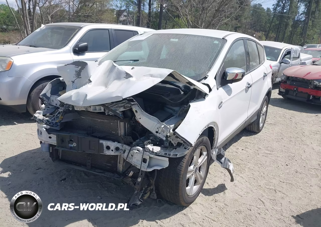 2014 Ford Escape S VIN:1FMCU0F76EUE06589 - 2