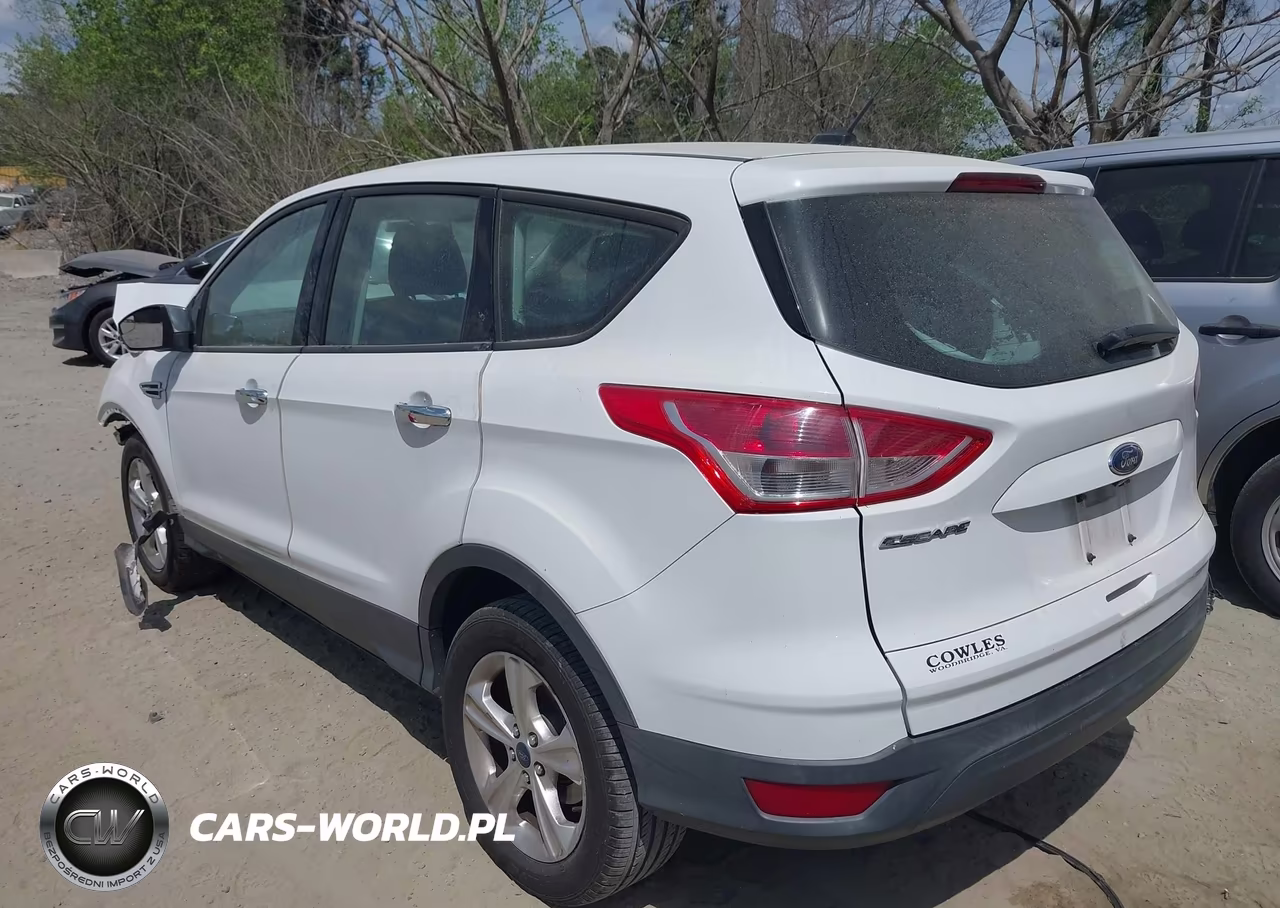 2014 Ford Escape S VIN:1FMCU0F76EUE06589 - 3