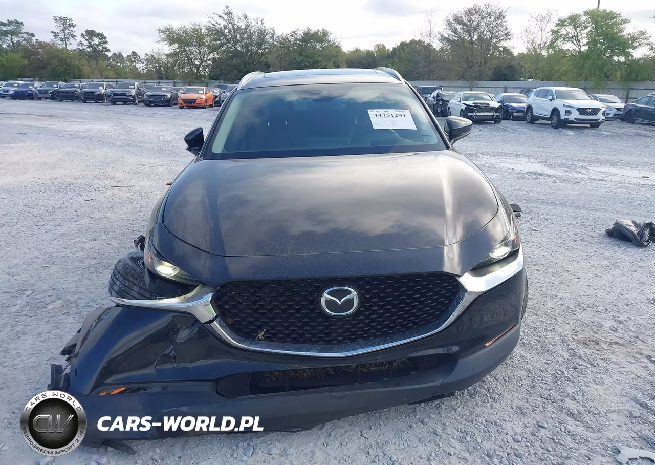 2022 Mazda Cx-30 Premium VIN:3MVDMBDL1NM406362 - 12