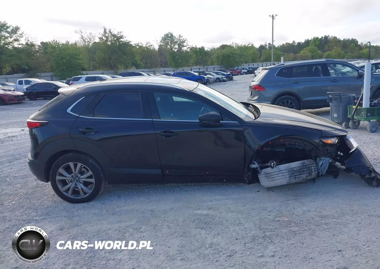 2022 Mazda Cx-30 Premium VIN:3MVDMBDL1NM406362 - 13