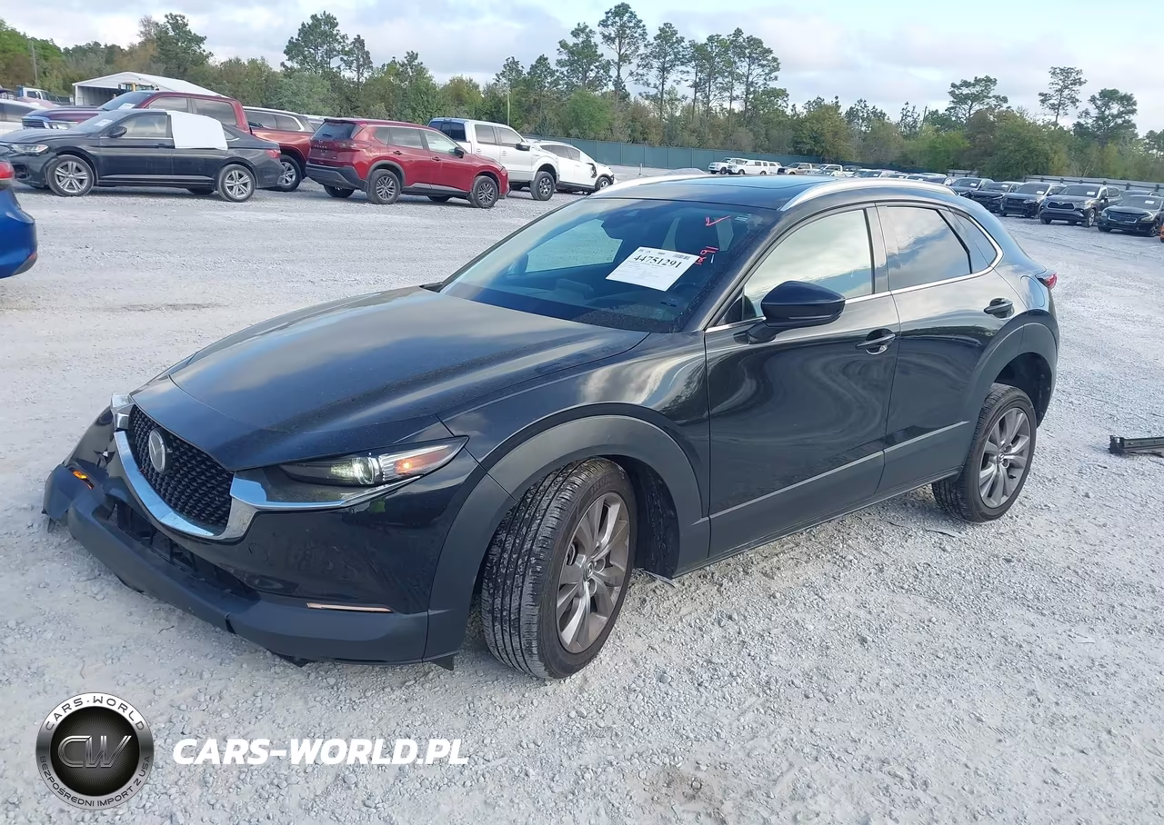 2022 Mazda Cx-30 Premium VIN:3MVDMBDL1NM406362 - 2