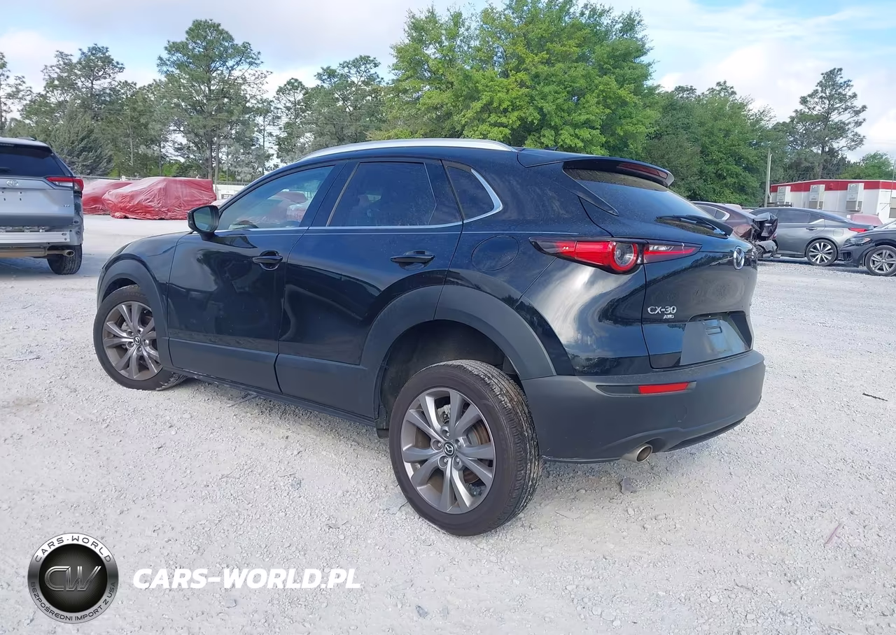 2022 Mazda Cx-30 Premium VIN:3MVDMBDL1NM406362 - 3