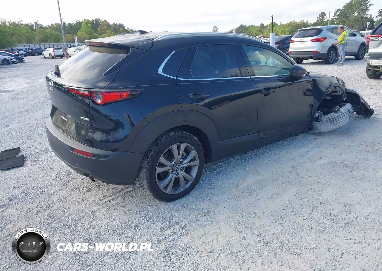 2022 Mazda Cx-30 Premium VIN:3MVDMBDL1NM406362 - 4
