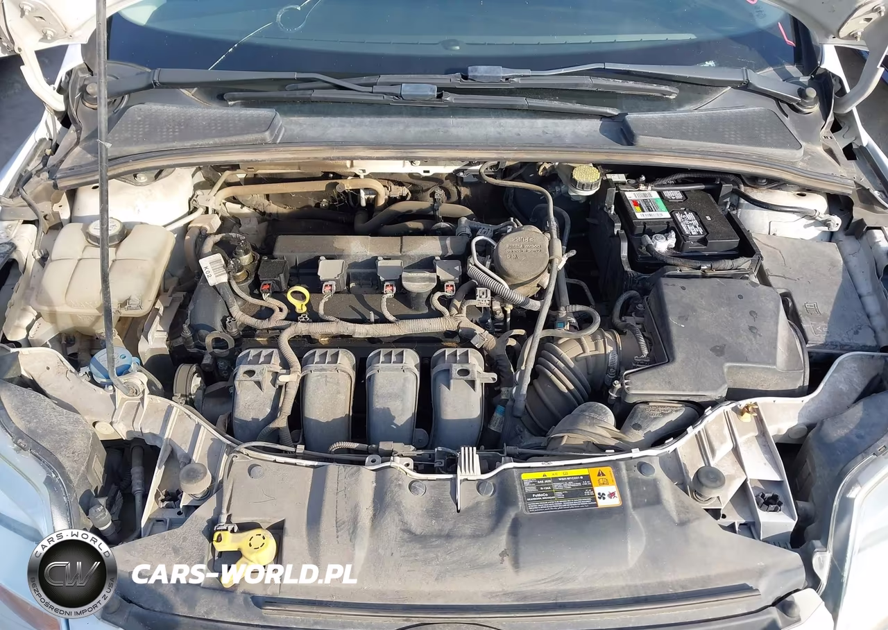 2013 Ford Focus Se VIN:1FADP3F2XDL195395 - 10
