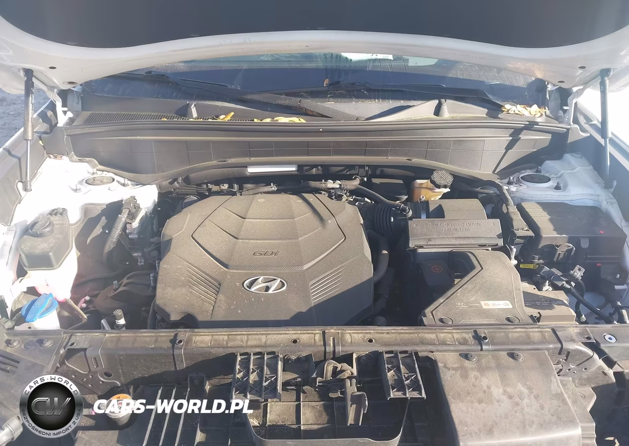 2021 Hyundai Palisade Limited VIN:KM8R54HE5MU216789 - 10