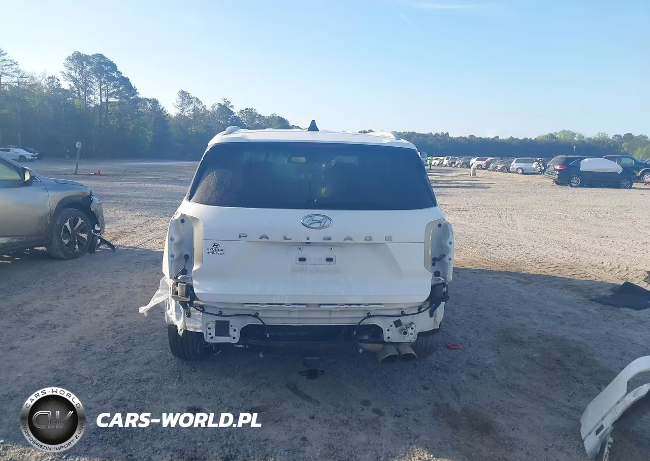 2021 Hyundai Palisade Limited VIN:KM8R54HE5MU216789 - 17