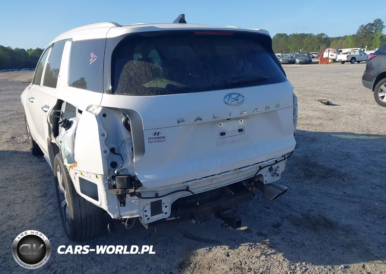 2021 Hyundai Palisade Limited VIN:KM8R54HE5MU216789 - 18