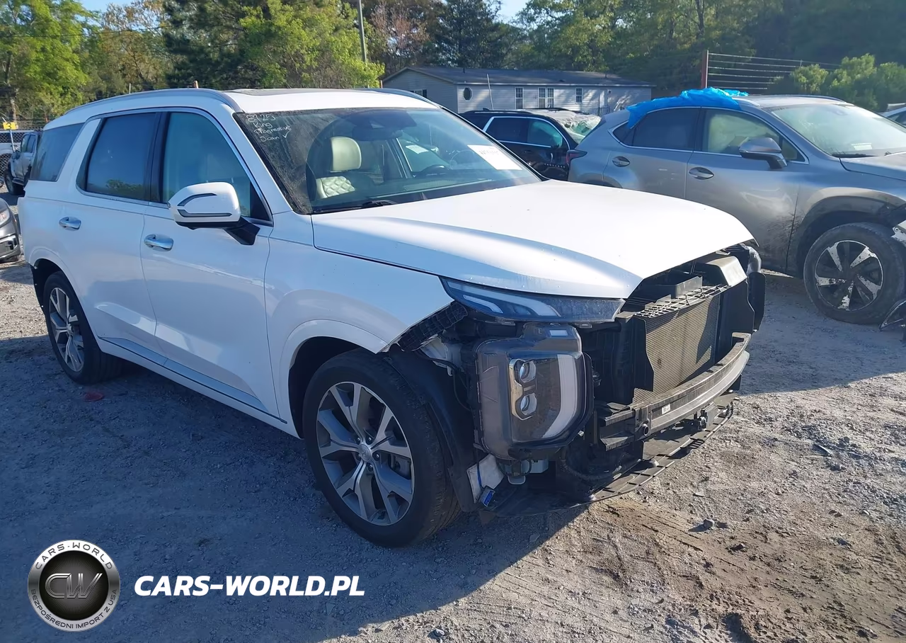 2021 Hyundai Palisade Limited VIN:KM8R54HE5MU216789 - 19