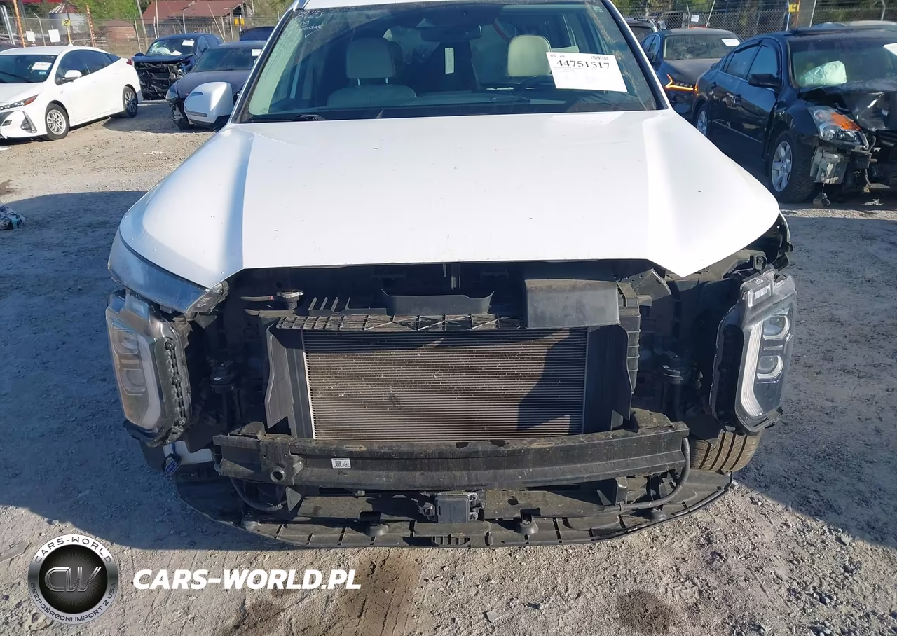 2021 Hyundai Palisade Limited VIN:KM8R54HE5MU216789 - 20
