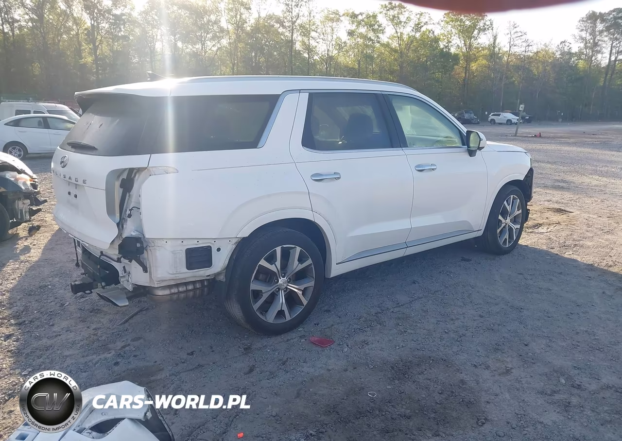 2021 Hyundai Palisade Limited VIN:KM8R54HE5MU216789 - 4