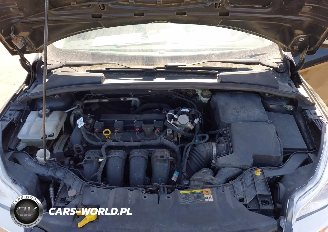 2014 Ford Focus Se VIN:1FADP3F29EL218988 - 10