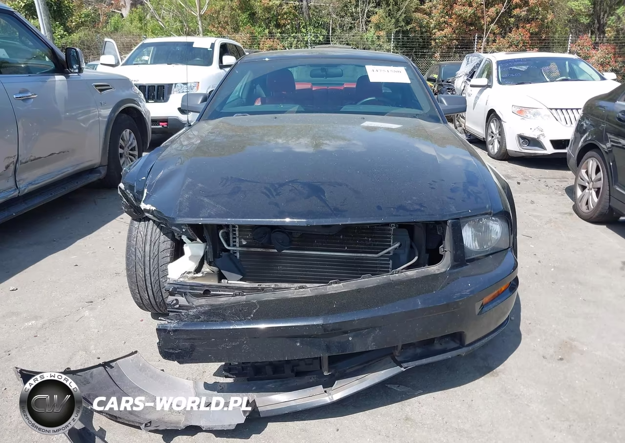2006 Ford Mustang Gt VIN:1ZVHT82H965112901 - 12