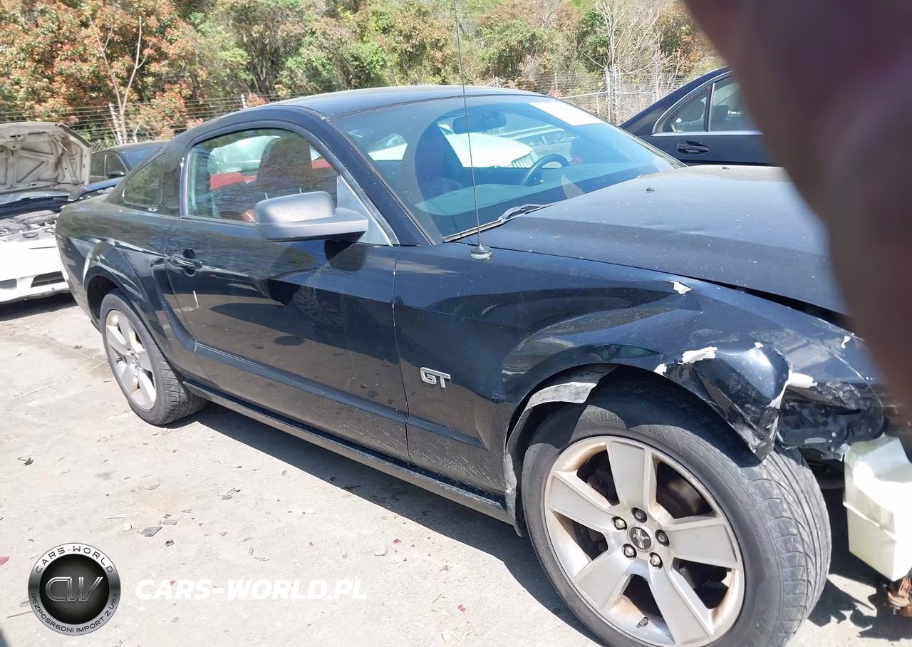 2006 Ford Mustang Gt VIN:1ZVHT82H965112901 - 13