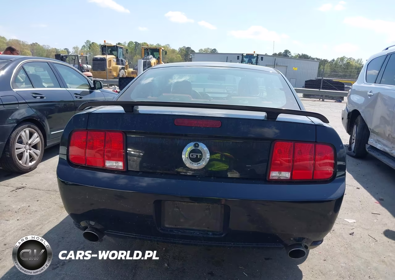 2006 Ford Mustang Gt VIN:1ZVHT82H965112901 - 16