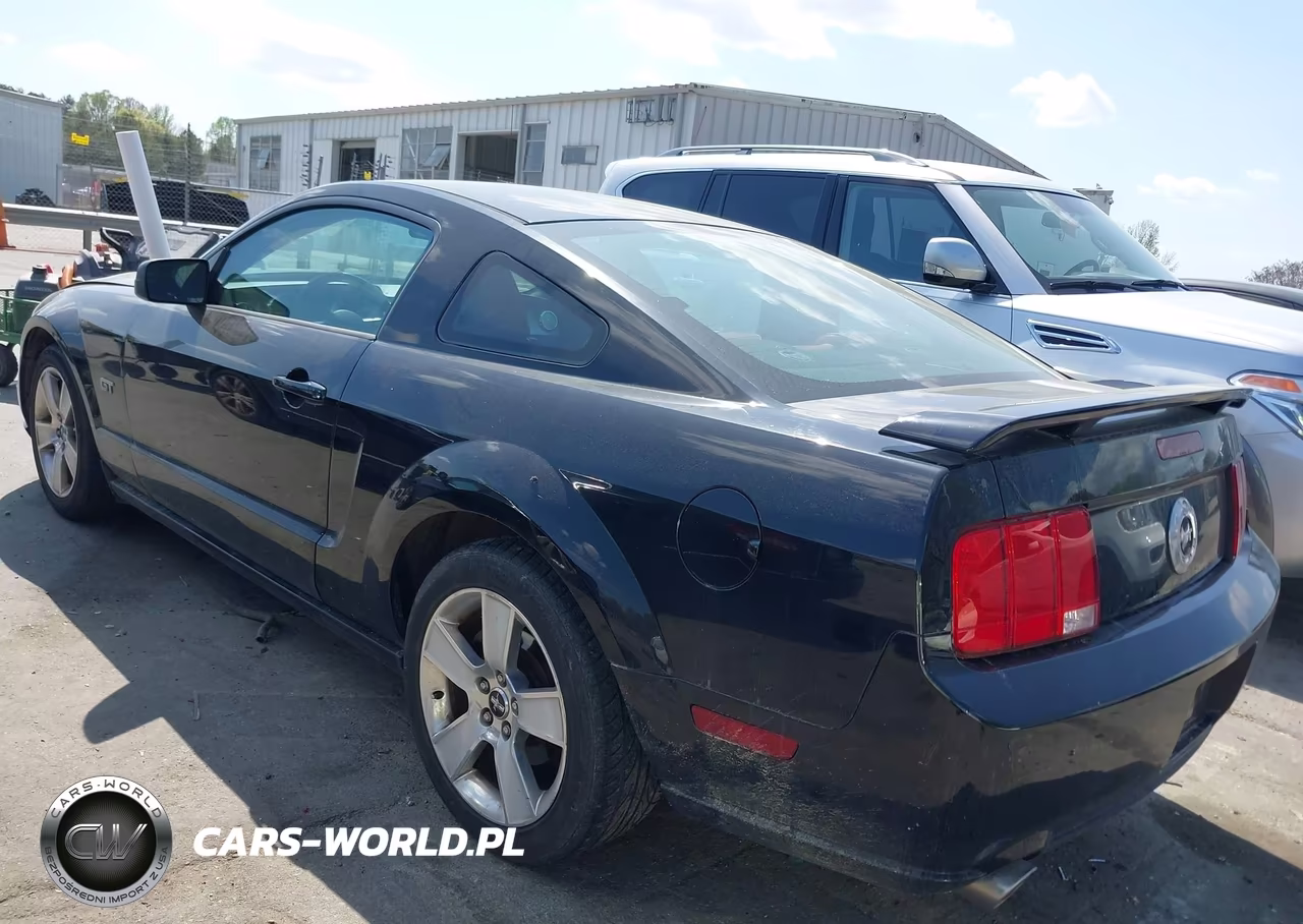 2006 Ford Mustang Gt VIN:1ZVHT82H965112901 - 3