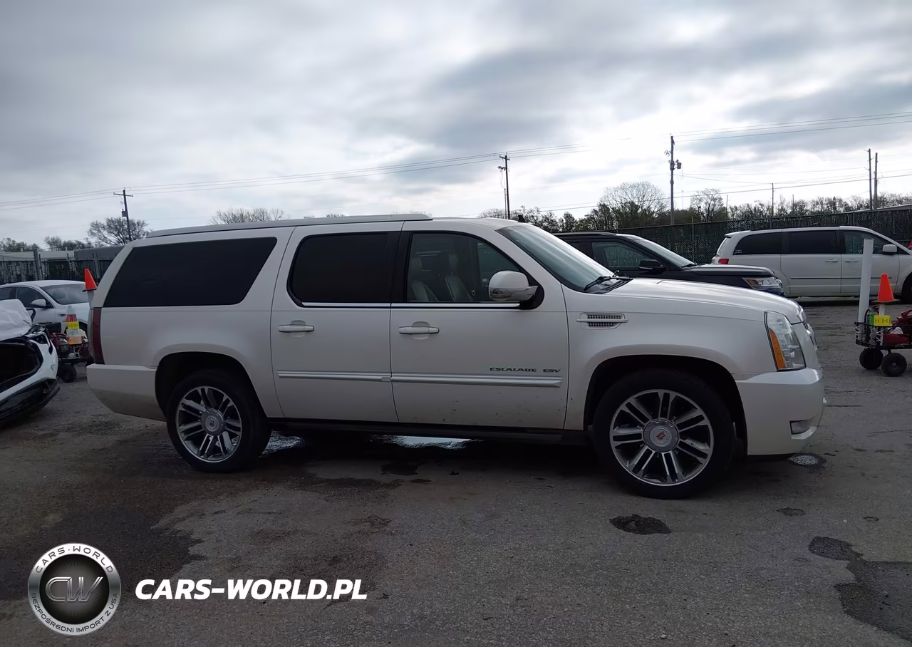 2013 Cadillac Escalade Esv Premium VIN:1GYS4JEF2DR297347 - 13