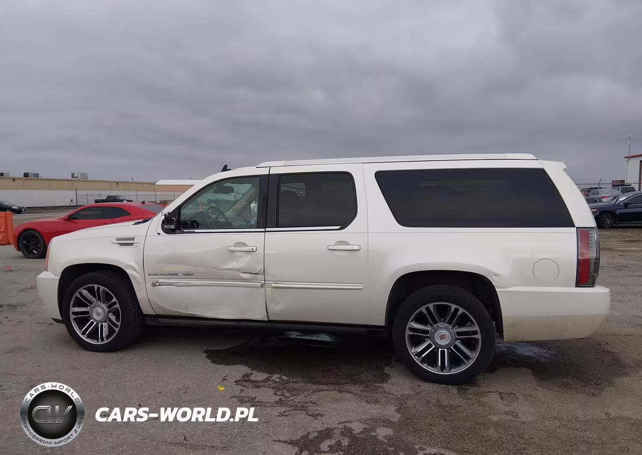 2013 Cadillac Escalade Esv Premium VIN:1GYS4JEF2DR297347 - 14