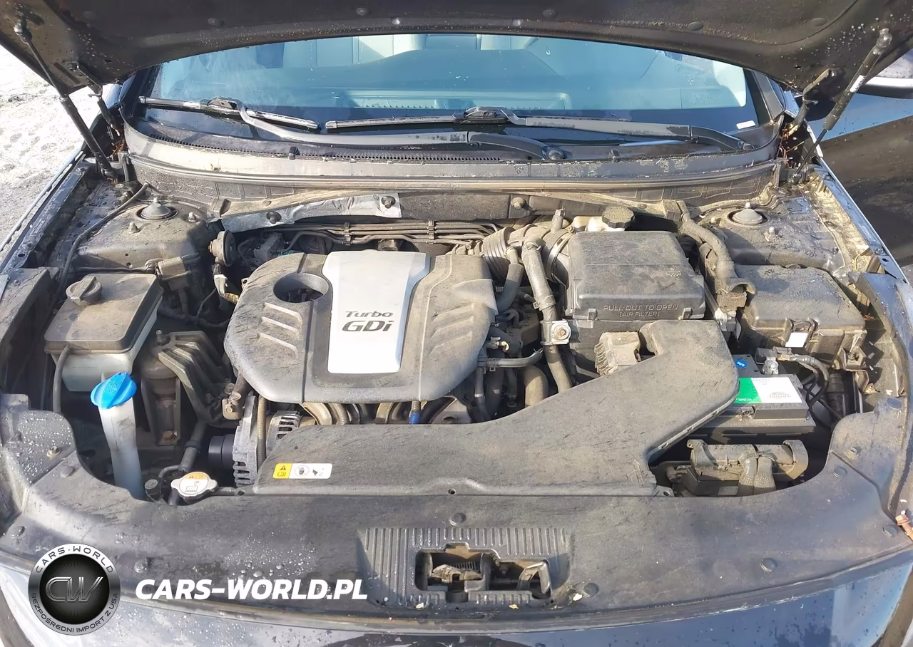 2016 Hyundai Sonata Eco VIN:5NPE24AA1GH433595 - 10
