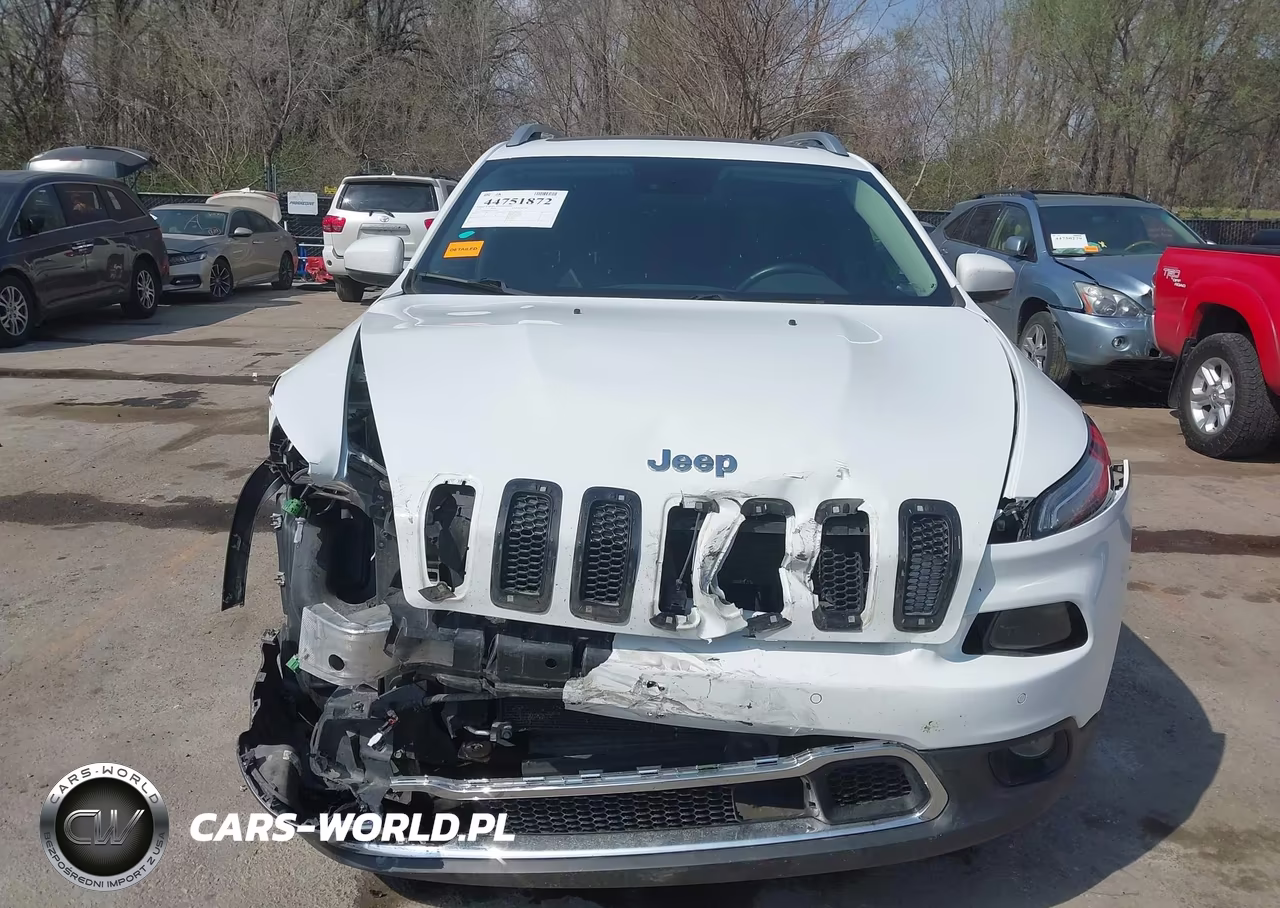 2017 Jeep Cherokee Limited 4X4 VIN:1C4PJMDS8HW547301 - 13