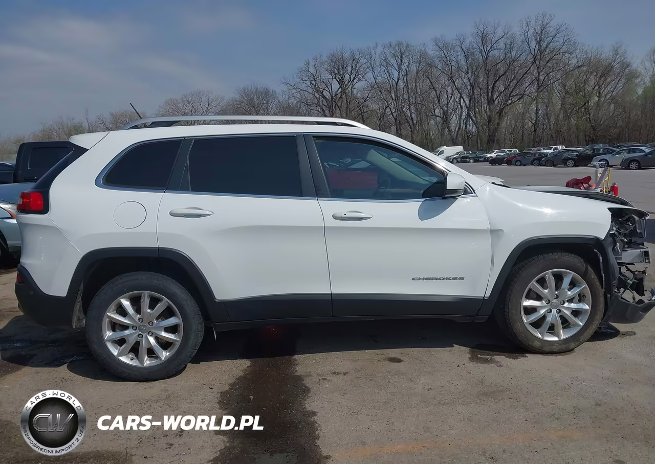 2017 Jeep Cherokee Limited 4X4 VIN:1C4PJMDS8HW547301 - 14