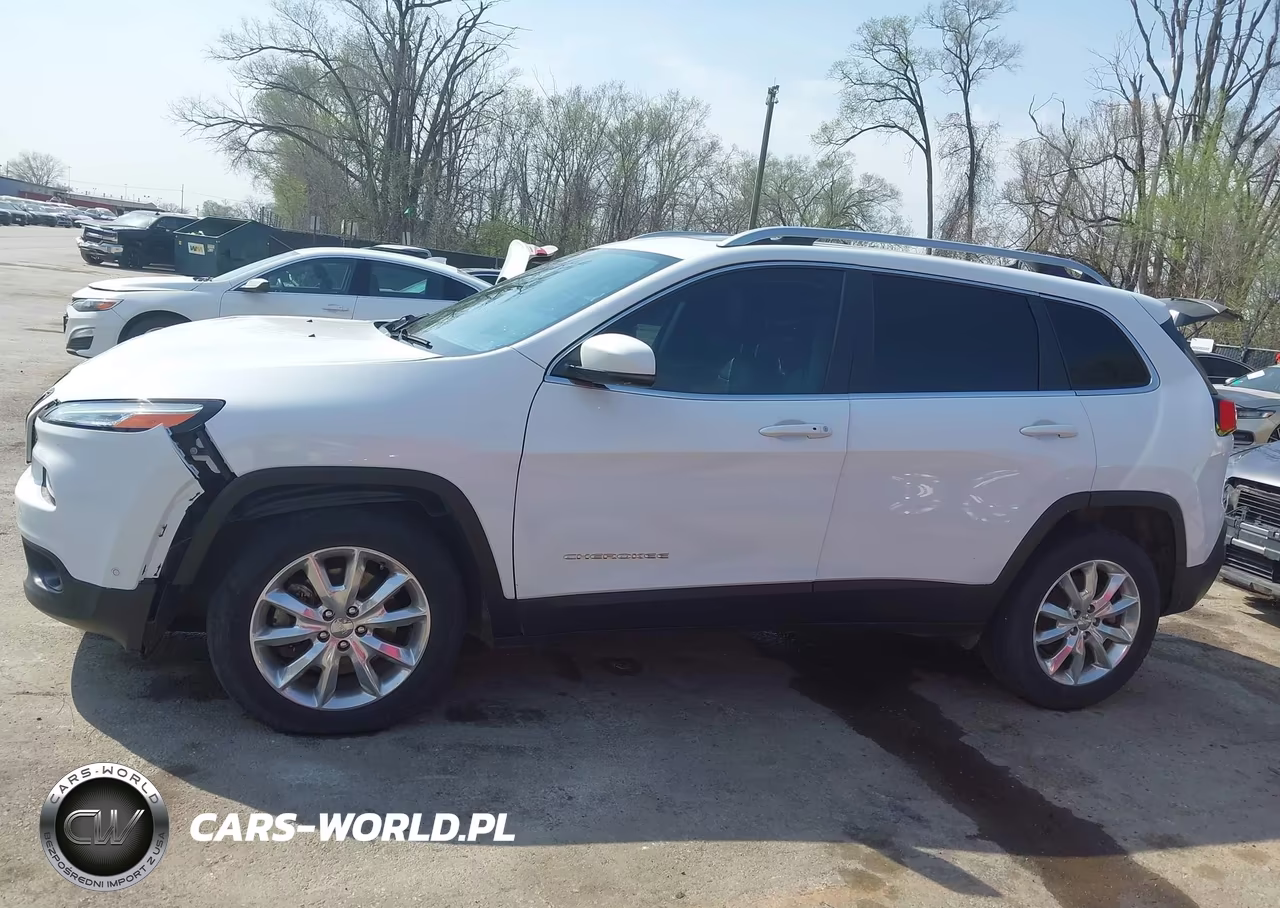 2017 Jeep Cherokee Limited 4X4 VIN:1C4PJMDS8HW547301 - 15
