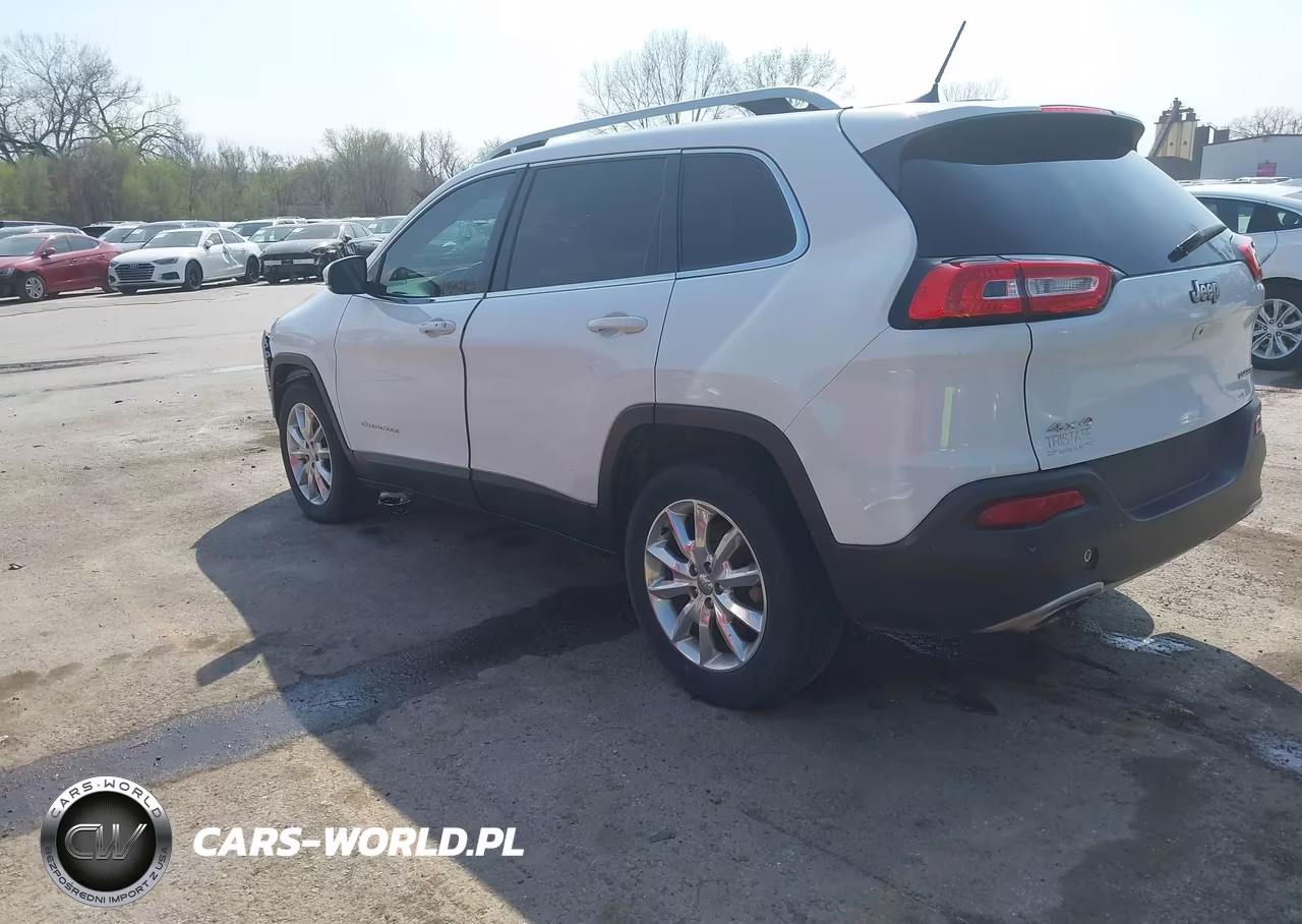 2017 Jeep Cherokee Limited 4X4 VIN:1C4PJMDS8HW547301 - 3